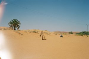 Sahara_quady